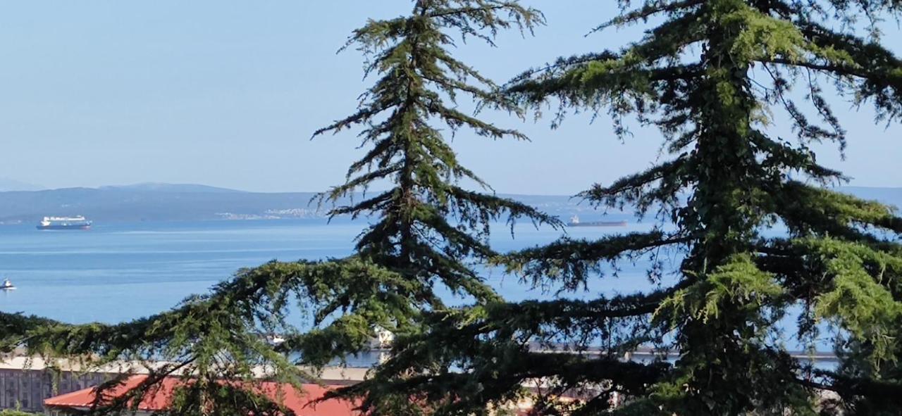 Villa Sunci Риека Экстерьер фото